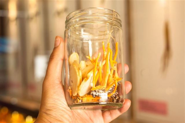 Cách uống đông trùng hạ thảo tốt nhất & một số lưu ý cần biết .