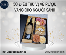 50 điều thú vị khám phá rượu vang