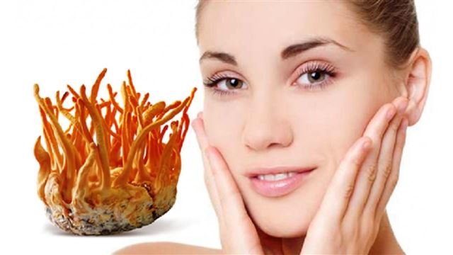 Đông trùng hạ thảo uống có tác dụng gì với sức khỏe và sắc đẹp?