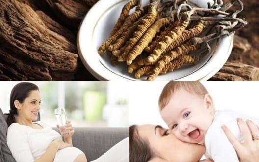 Bà bầu có ăn được đông trùng hạ thảo không?