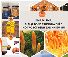 Khám phá bí mật đông trùng hạ thảo hỗ trợ tốt bệnh gan nhiễm mỡ