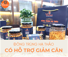 Đông trùng hạ thảo có hỗ trợ giảm cân?