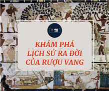 Khám phá bí mật về lịch sử rượu vang