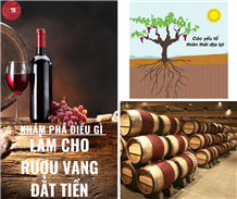 Khám phá điều gì làm cho rượu vang đắt tiền 