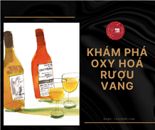 Quá trình oxy hóa tác động lên vang của tôi như thế nào?