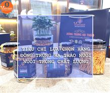 Bật mí thêm tiêu chí lựa chọn khi mua đông trùng hạ thảo