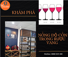Khám phá nồng độ cồn trong rượu vang và cách bảo quản