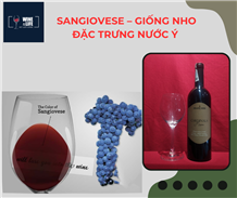 Sangiovese – giống nho đặc trưng nước Ý