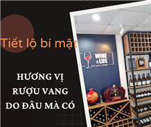 Tiết lộ bí mật hương vị rượu vang từ đâu mà có