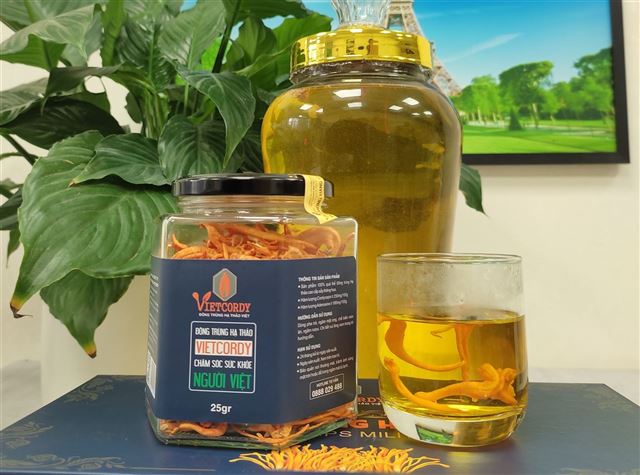 Đừng lơ là điều này khi dùng nước đông trùng hạ thảo.