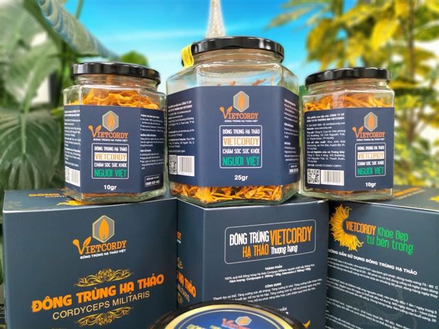 8 Điều phải biết khi sử dụng Đông trùng hạ thảo.