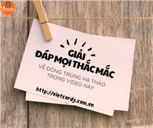 Giải đáp mọi thắc mắc về đông trùng hạ thảo trong video này nhé