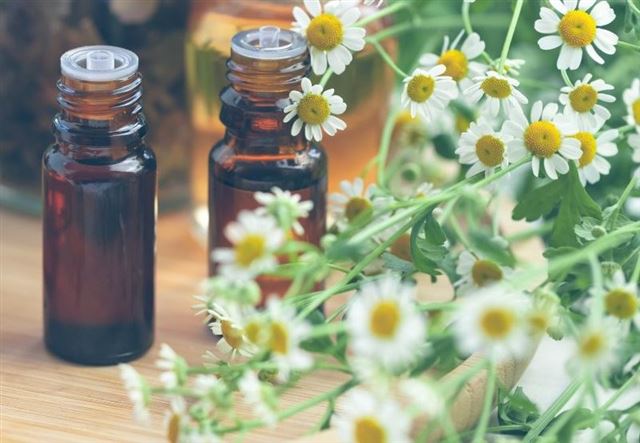 Trải nghiệm sức mạnh chữa lành và phục hồi của các loại mùi hương.
