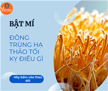 Bật mí đông trùng hạ thảo kỵ điều gì