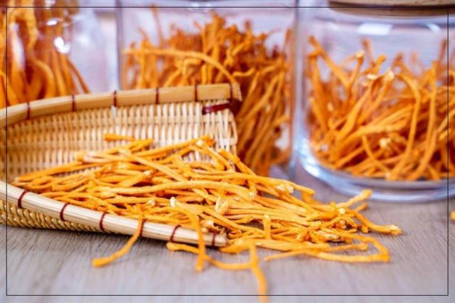 Cách pha trà Đông trùng hạ thảo khô, tươi & những lưu ý.