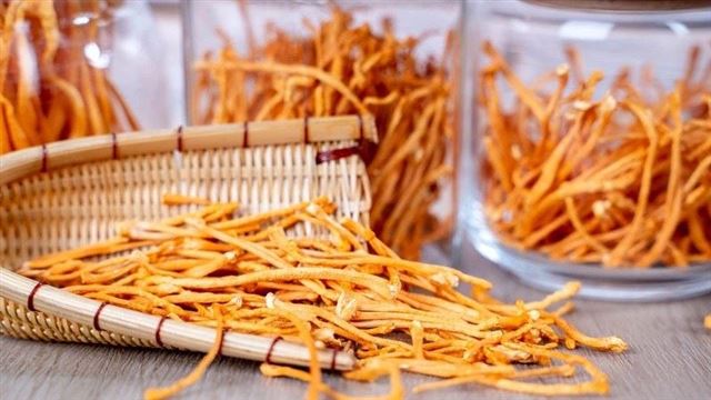 Dấu hiệu đông trùng hạ thảo bị mốc và cách xử lý