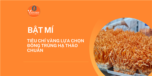 Bật mí tiêu chí vàng lựa chọn sản phẩm Đông trùng hạ thảo chuẩn