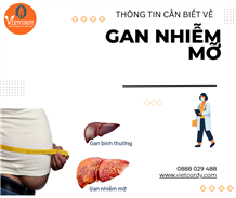 Thông tin cần biết về bệnh gan nhiễm mỡ