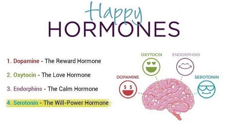 Endorphin là một trong 4 loại hormone giúp mang lại cảm giác hạnh phúc cho cơ thể