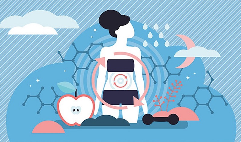Vitamin B1 tham gia vào quá trình chuyển hóa của cơ thể