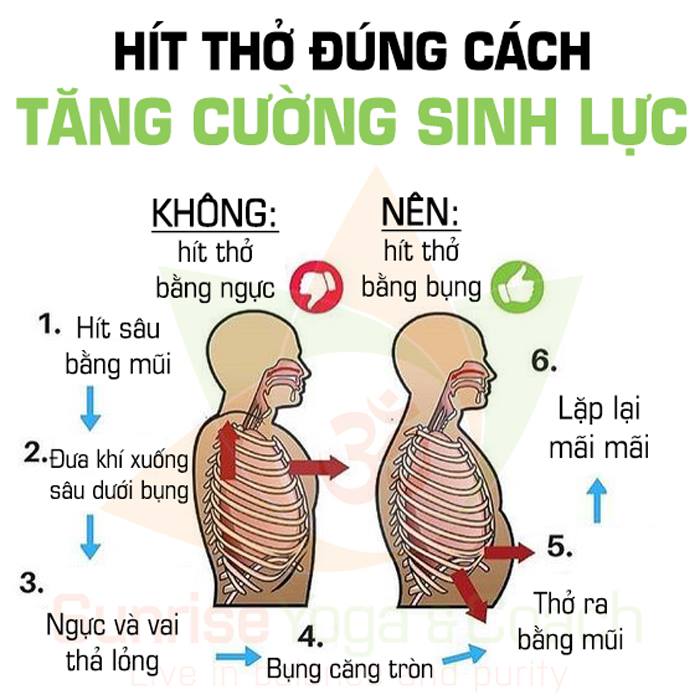 Hỗ trợ bệnh phổi, tăng cường sức khỏe