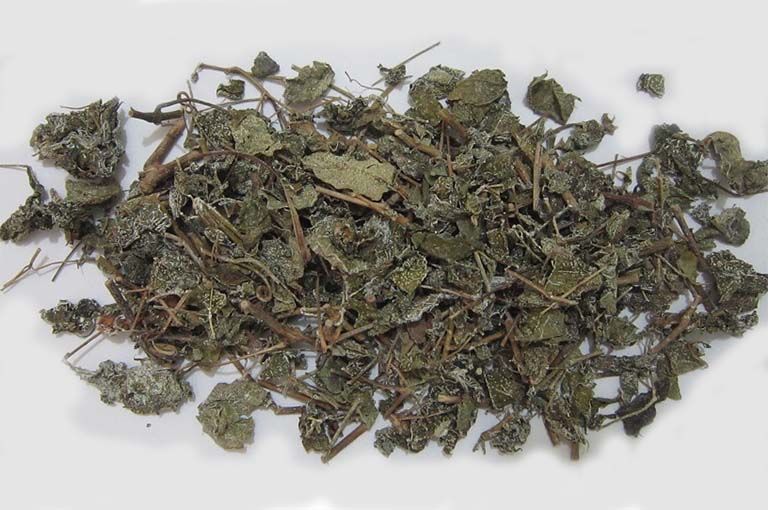 Bài thuốc chữa đau dạ dày của chè dây chỉ phù hợp với các trường hợp mắc bệnh ở mức độ nhẹ hoặc vừa mới khởi phát