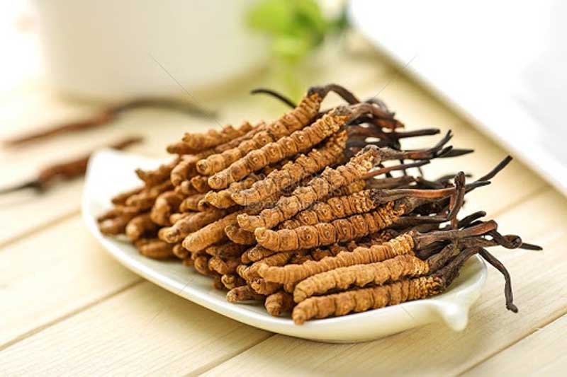 Đông trùng hạ thảo giúp tăng cường hệ miễn dịch ở trẻ Đông trùng hạ thảo giúp tăng cường hệ miễn dịch ở trẻ