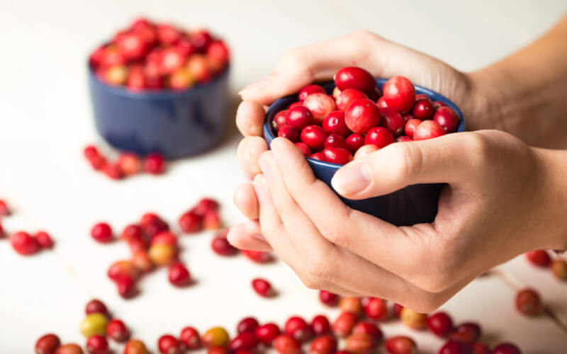Trái nam việt quất