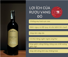 Phụ nữ và rượu vang