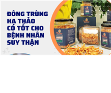 Đông trùng hạ thảo có tốt cho bệnh nhân suy thận
