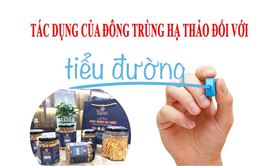 Tác dụng của đông trùng hạ thảo đối với tiểu đường