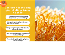Các câu hỏi về đông trùng hạ thảo