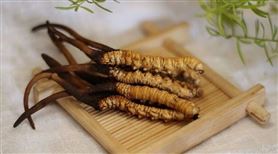 Có nên uống đông trùng hạ thảo thường xuyên không?
