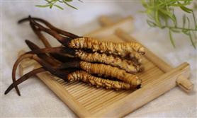 Đông Trùng Hạ Thảo Dùng Cho Đối Tượng Nào? Cần Lưu Ý Gì?