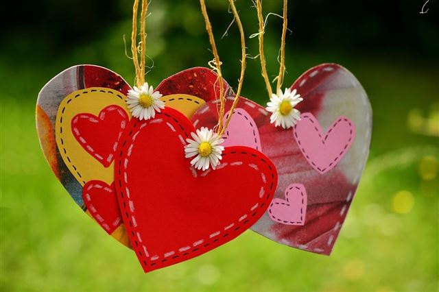 Tác dụng của Đông trùng Hạ thảo đối với hệ tim mạch dựa trên dữ liệu nghiên cứu khoa học tin cậy.