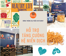 Đông trùng hạ thảo Vietcordy hỗ trợ tăng cường hệ miễn dịch sức khoẻ