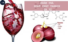 Khám phá hoạt chất Tannin là gì?