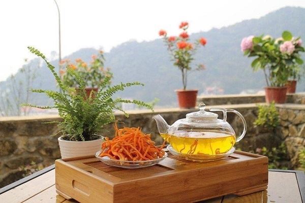  Hướng dẫn pha trà Đông trùng hạ thảo khô phát huy tối đa công dụng