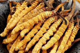 Hình ảnh nội bộ 3