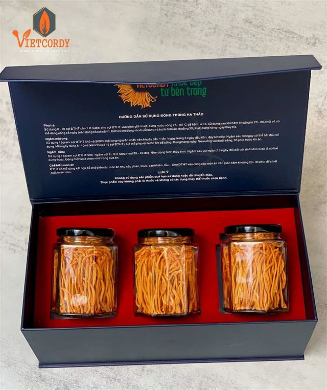 Vietcordy