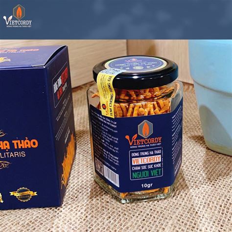 ĐTHT VIP VIETCORDY SẤY THĂNG HOA - HỘP 10 GR