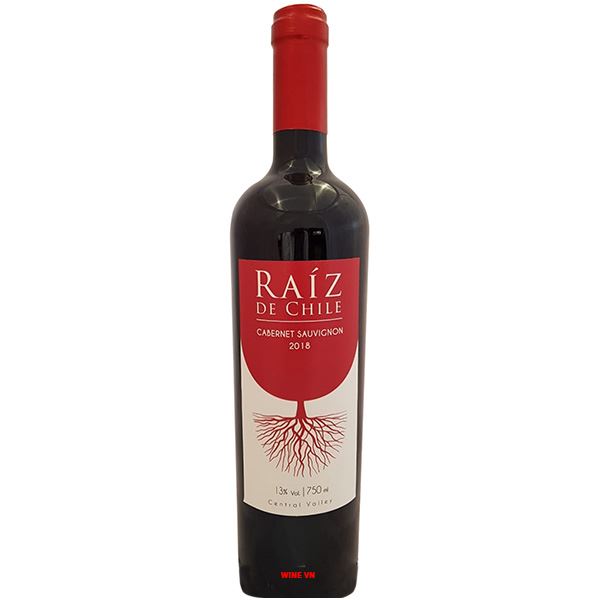 RAÍZ DE CHILE CABERNET SAUVIGNON